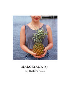 Malcriada v. 3: My Mother's Home