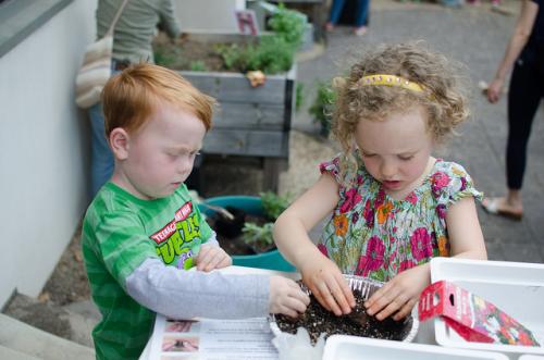 Creating seed bombs in the library&amp;#039;s Courtyard Garden