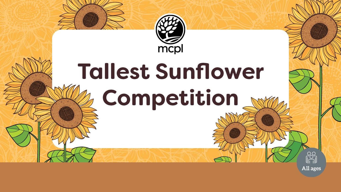 Tallest Sunflower Competition