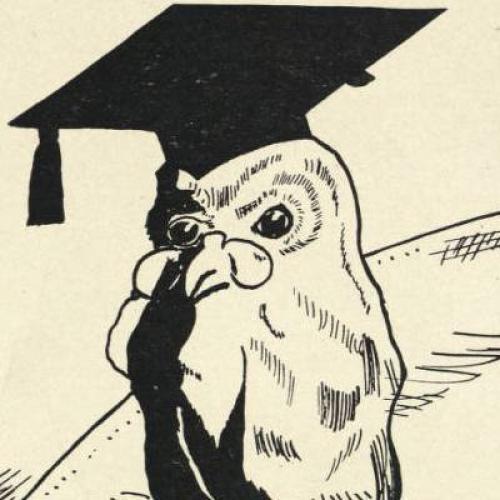Owl with graduation cap from Bloomington Gothic yearbook, 1909